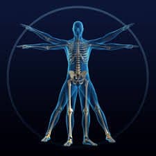 Orthopedic Doctors in Nashik